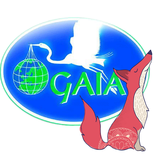 logo gaia con volpe aiuta gaia - 16002827_1839792972956674_1428346670274134479_n - copia
